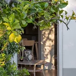 Quinta Da Cerejeira Apartamento Ferreira do Zêzere