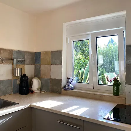 公寓 Quinta Da Cerejeira Ferreira do Zêzere