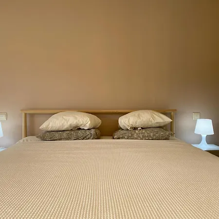 公寓 Quinta Da Cerejeira *